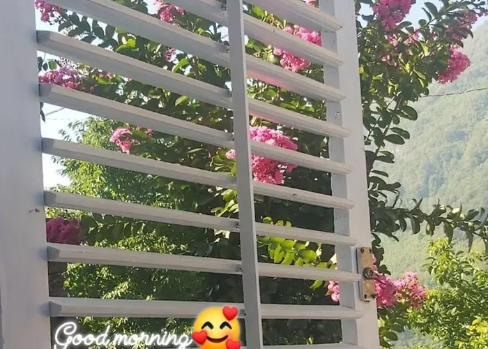 Nn - Boracko Jezero 公寓 *